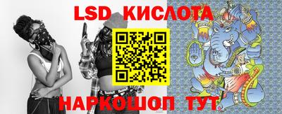 стафф Камышлов
