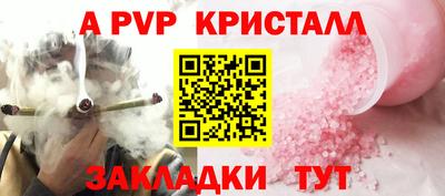 стафф Камышлов
