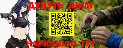 стафф Камышлов