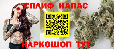 стафф Камышлов